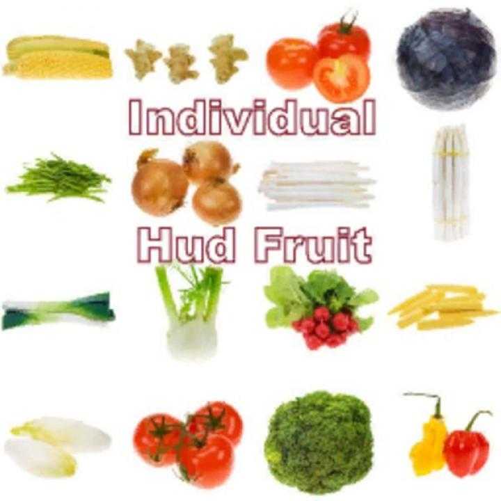 FS19 – Indivitualhudfruit V0.52 Beta