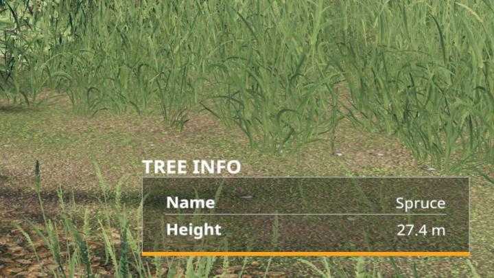 Info Display V1.1 FS19