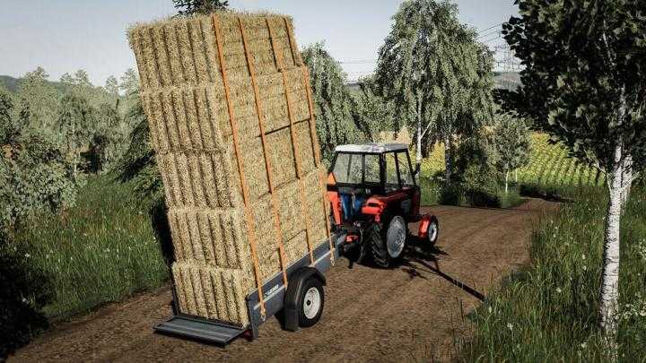 Lizard Car Trailer V1.2 FS19