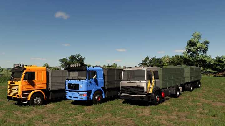 Lizard Grain Trailer V1.0 FS19