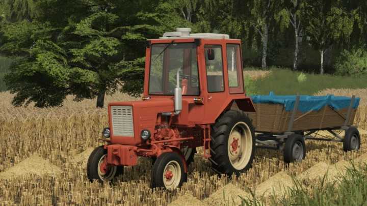 Lizard T25A-T30A80 V1.0 FS19