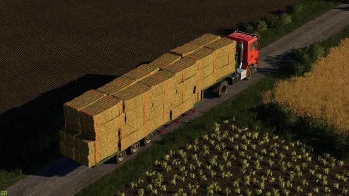 FS19 – Low Loader V1