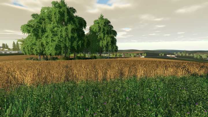 Midtown Usa 4X V2.0 FS19