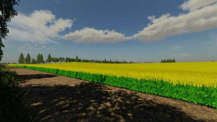 FS19 – Ninghan Farms Map V1.0.0.2