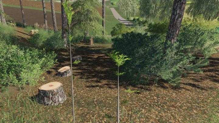 FS19 – Player Plant Trees V1