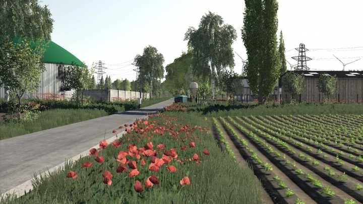 Poppy Plains V1.0 FS19