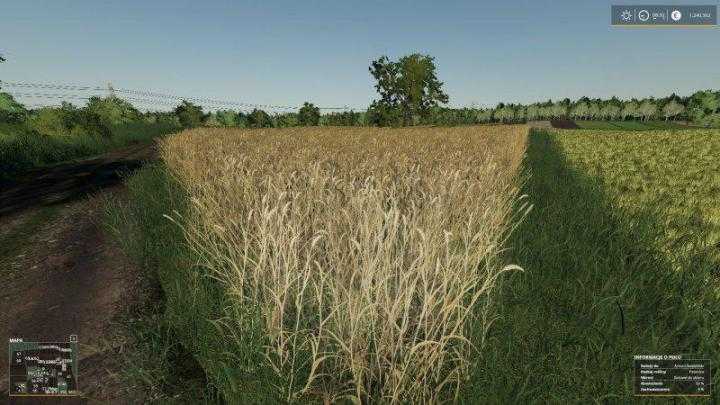 FS19 – Real Crop Density V1