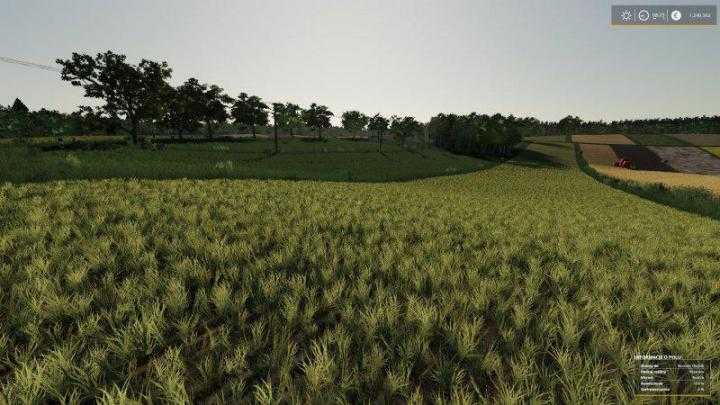 FS19 – Real Crop Density V1