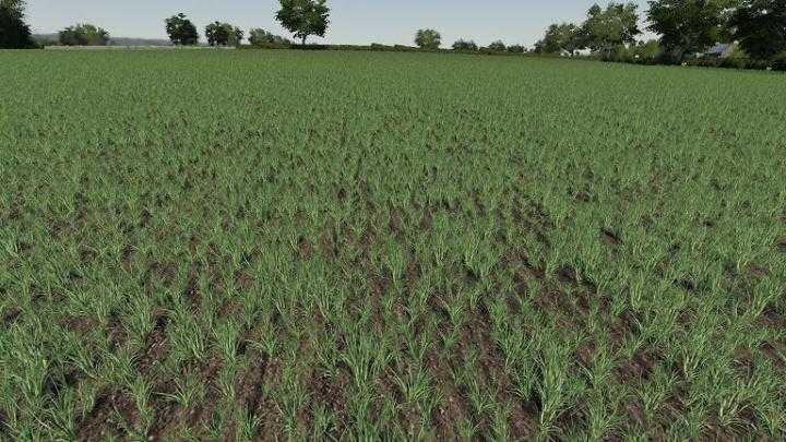 FS19 – Realistic Cereal And Canola Crop Densities V1