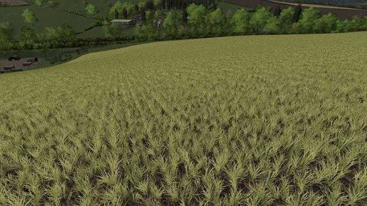 FS19 – Realistic Cereal And Canola Crop Densities V1