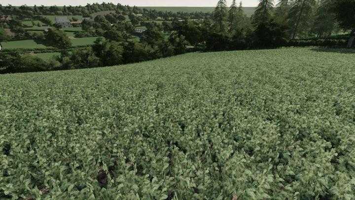 FS19 – Realistic Cereal And Canola Crop Densities V1