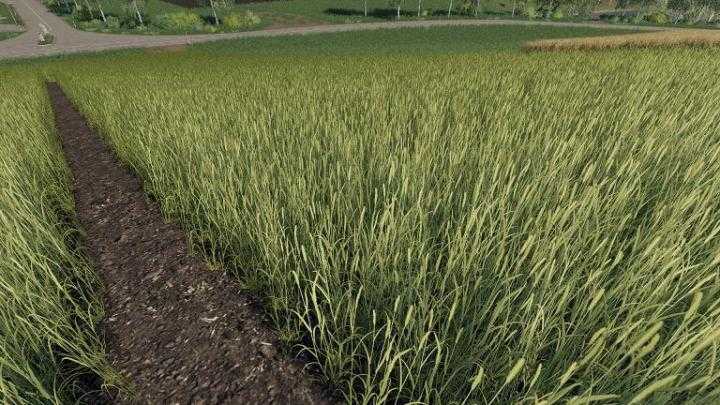 FS19 – Realistic Cereal And Canola Crop Densities V1