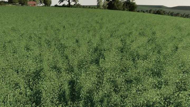 FS19 – Realistic Cereal And Canola Crop Densities V1