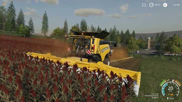 Ringwoods Map FS19