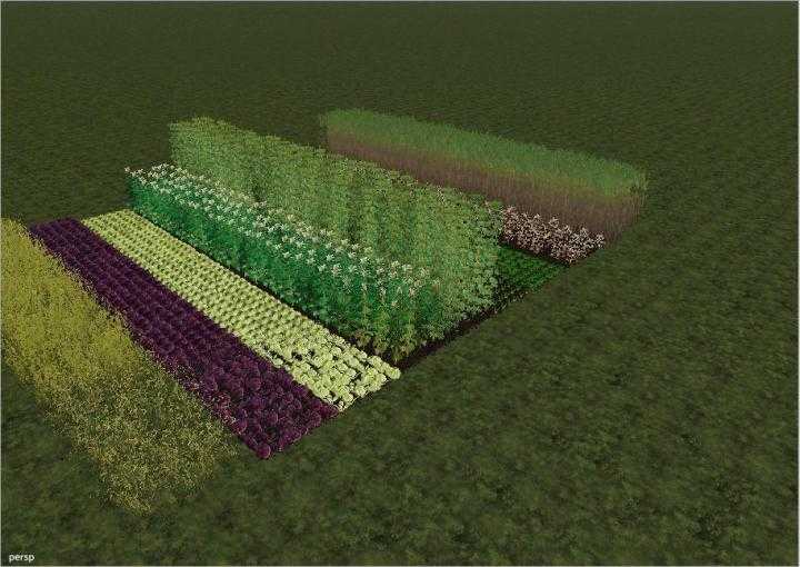 FS19 – Template Map Fruit V1