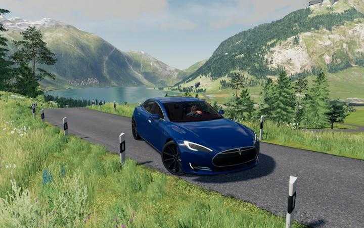 Tesla Model S V1.0 FS19