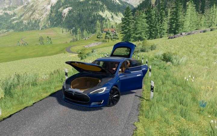 Tesla Model S V1.0 FS19