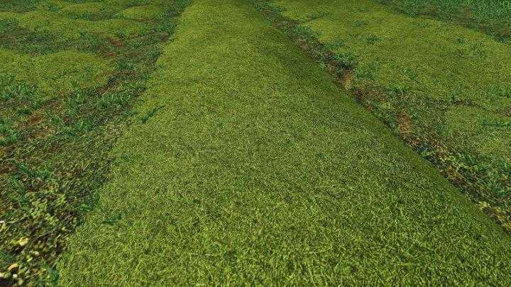 Texture Of Straw, Hay, Grass V1.0 FS19