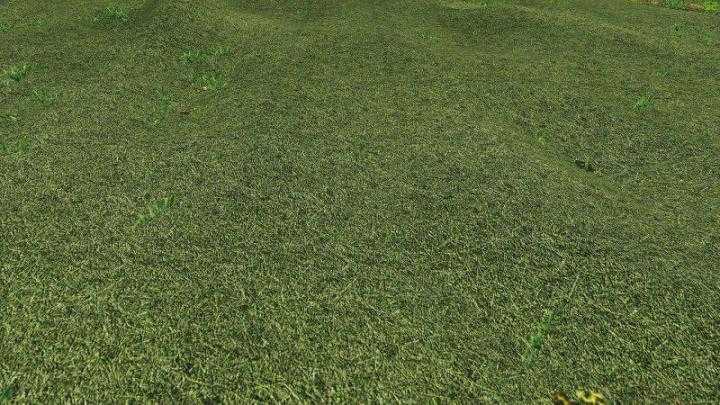 Texture Of Straw, Hay, Grass V1.0 FS19