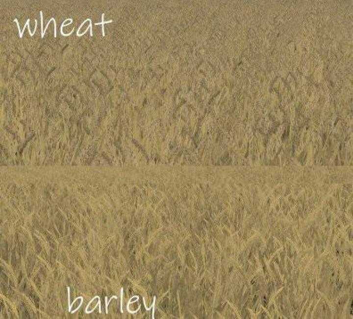 FS19 – Wheat – Barley Texture V1