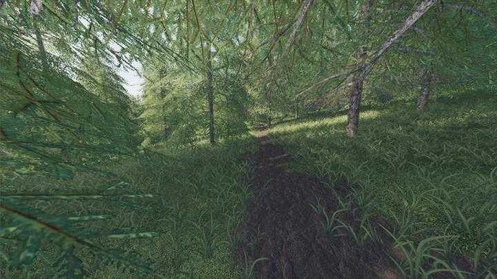 FS19 – Willamina Forest Map V1.4