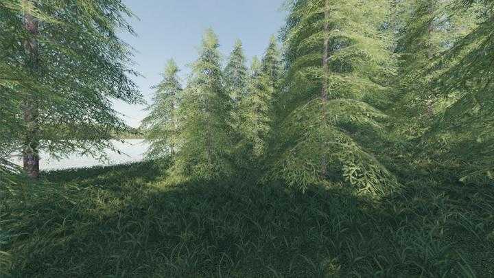 FS19 – Willamina Forest Map V1.4