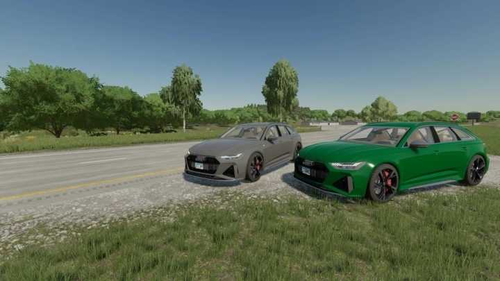 Audi Rs6 Avant C8 V2.0 FS22