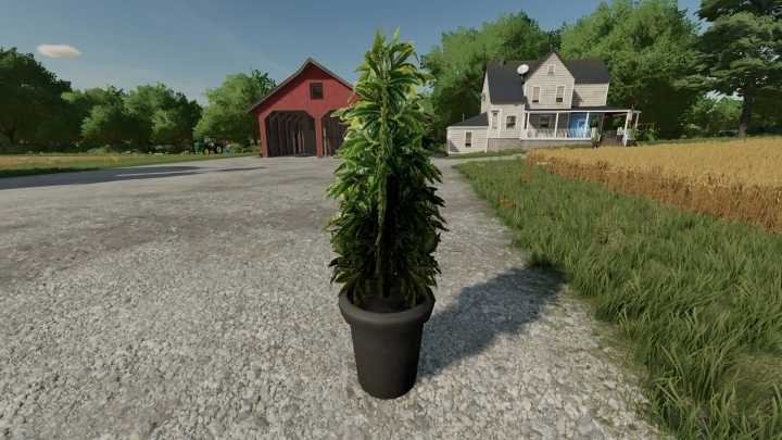 Cannabis Plants Pack V1.0 FS22