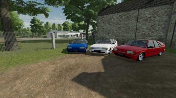 Citroen Bx 16 V1.0 FS22