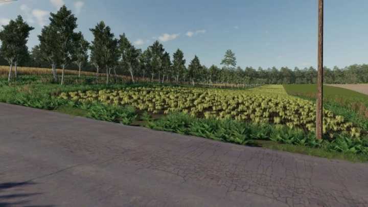 Dolina Map V1.0 FS22