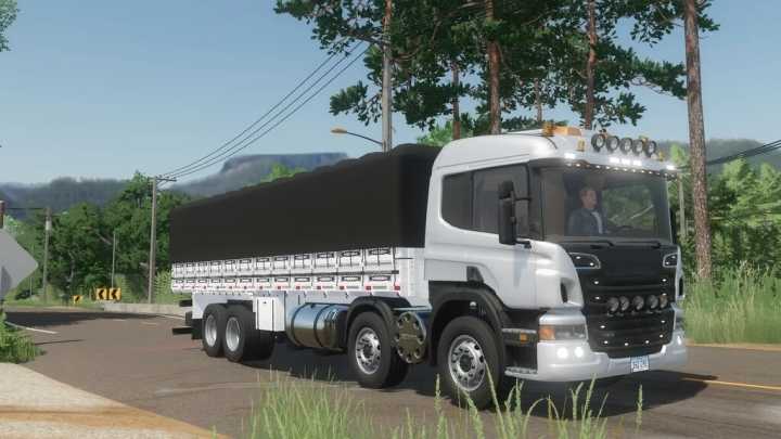 Lizard P310 Truck V1.2 FS22