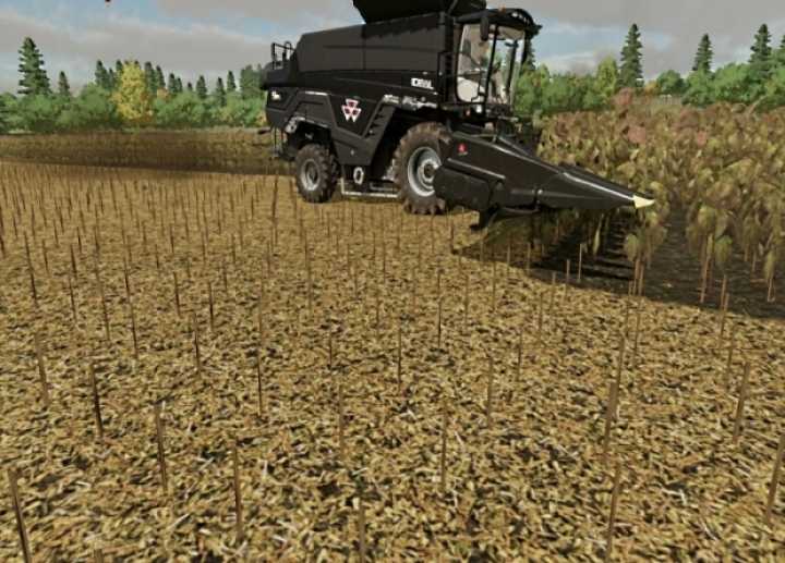 Massy Ferguson Maize Header V1.0 FS22