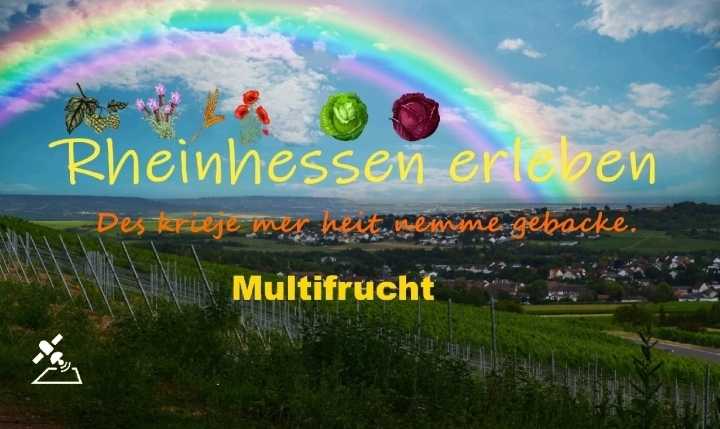 Rheinhessen Map V1.0.0.1 FS22