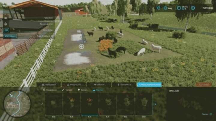 Sheeps Free V1.0 FS22