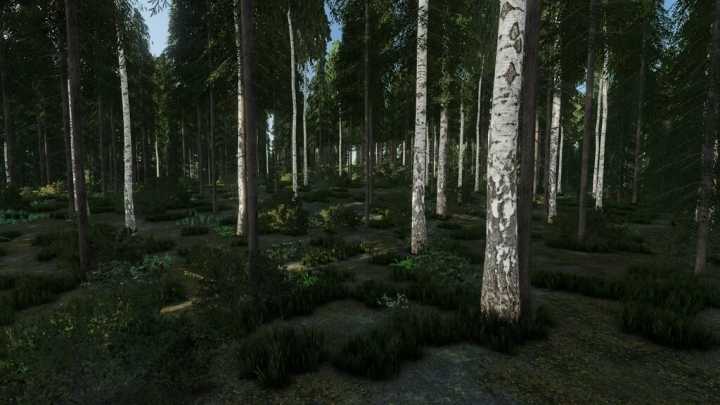 Wild River Forest V1.0 FS22