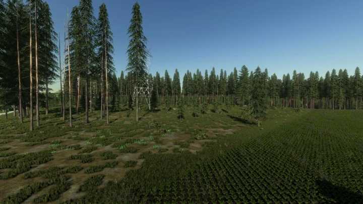 Wild River Forest V1.0 FS22