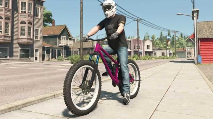 Lizard Mountain Bike V1.0 FS22