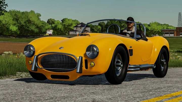 Shelby Cobra V1.0 FS22