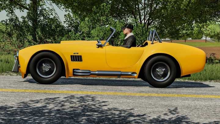 Shelby Cobra V1.0 FS22