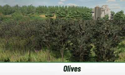 Как посадить и собрать оливки Farming Simulator