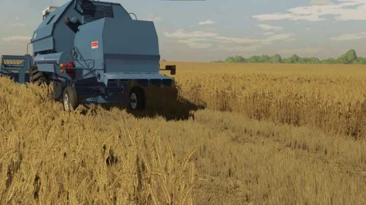 Barley And Wheat Textures V1.0 FS22