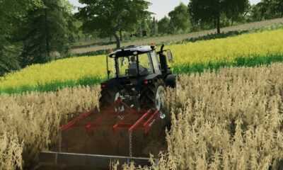 Dosemenler V1.0 FS19 - это название модификации для игры Farming Simulator 19.