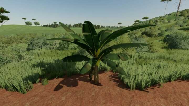 Banana Tree V1.0 FS22