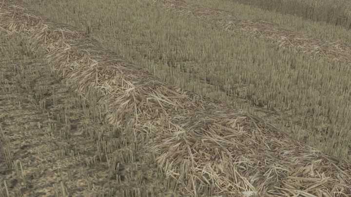 Straw Texture V1.0 FS22