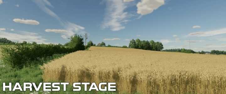 Oat Crop Textures V1.0 FS22