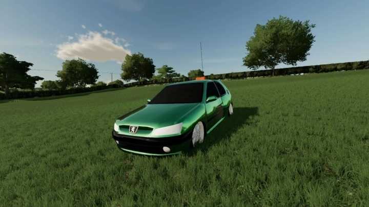 Peugeot 306 V1.0 FS22