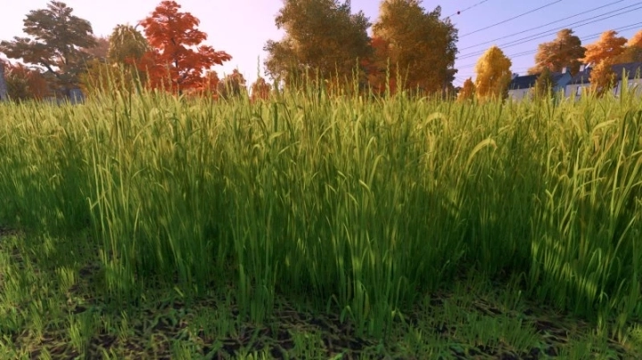 FS22 – Grass Texture V1.0