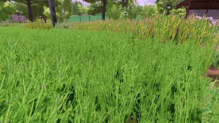 FS22 – Grass Texture With Alfalfa V1.0