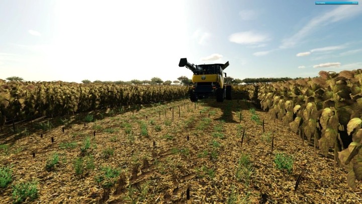 FS22 – Sorghum And Sunflowers Foliage V1.0