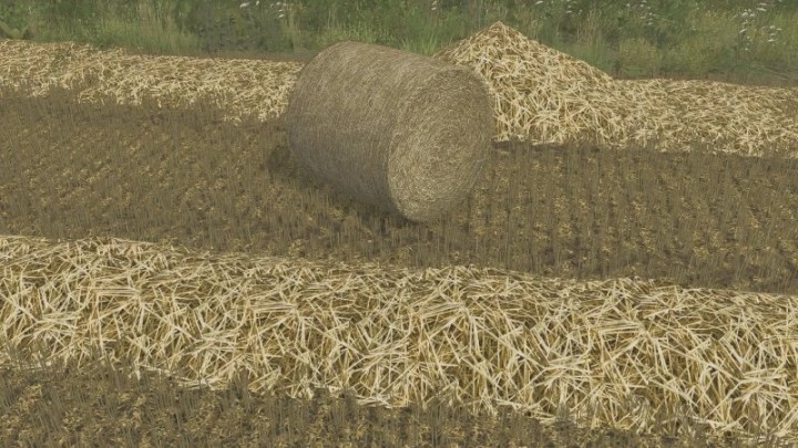 FS22 – Straw Texture V1.0